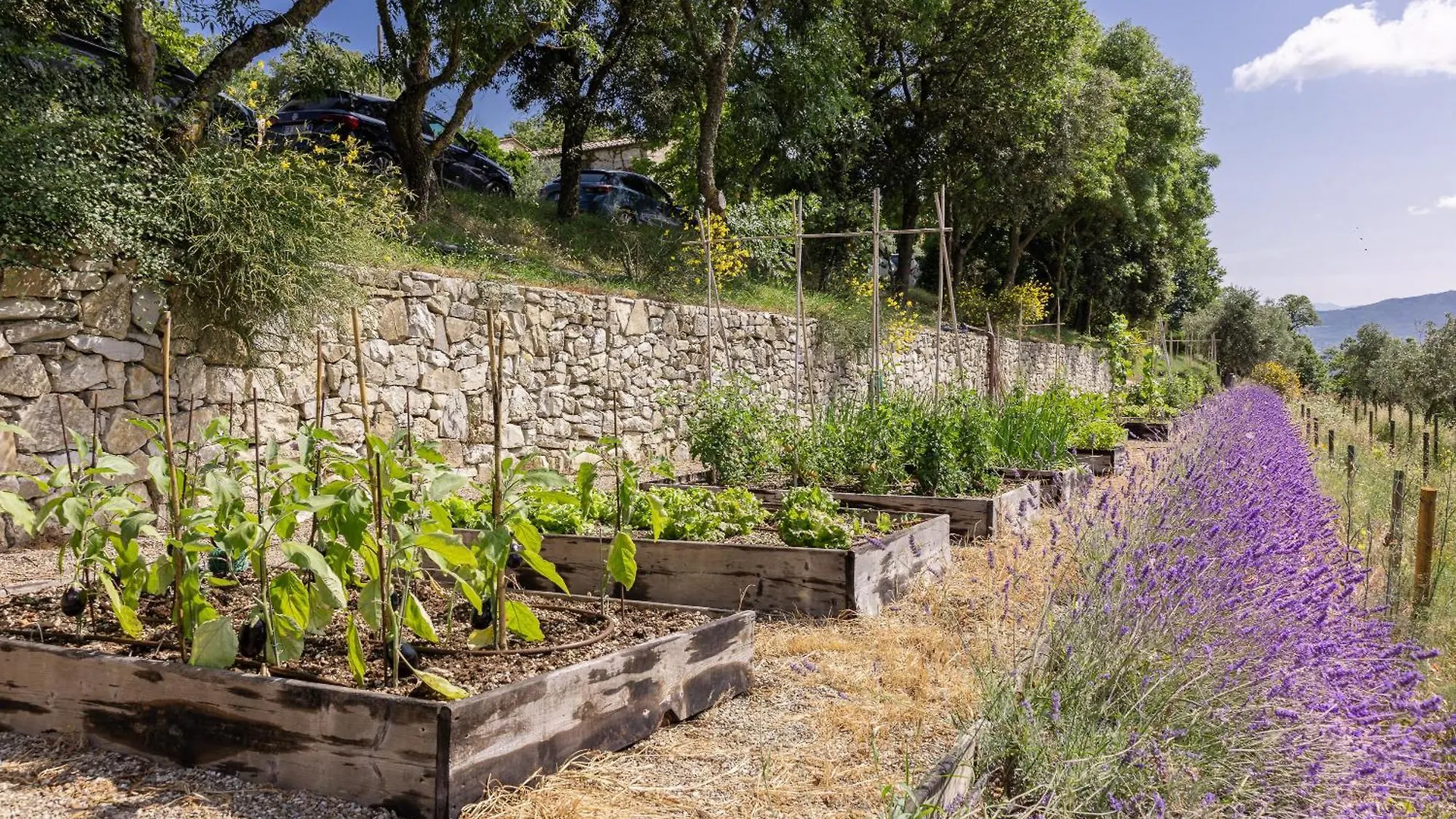 Borgo Vescine Hotel Radda in Chianti Italië